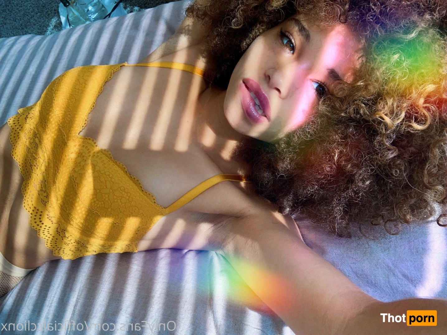 Cecilia Lion 1780067