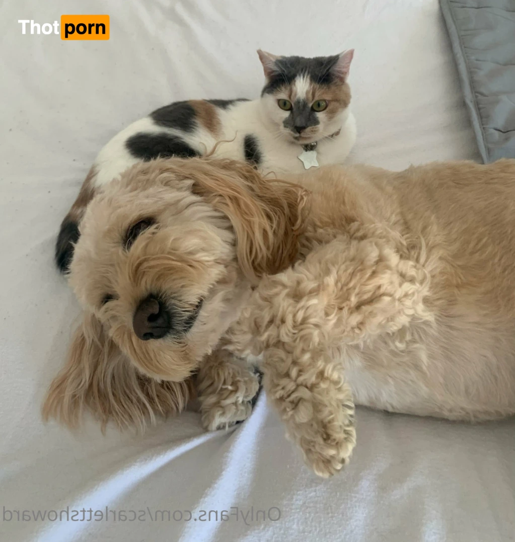 Scarlett Howard 11958908