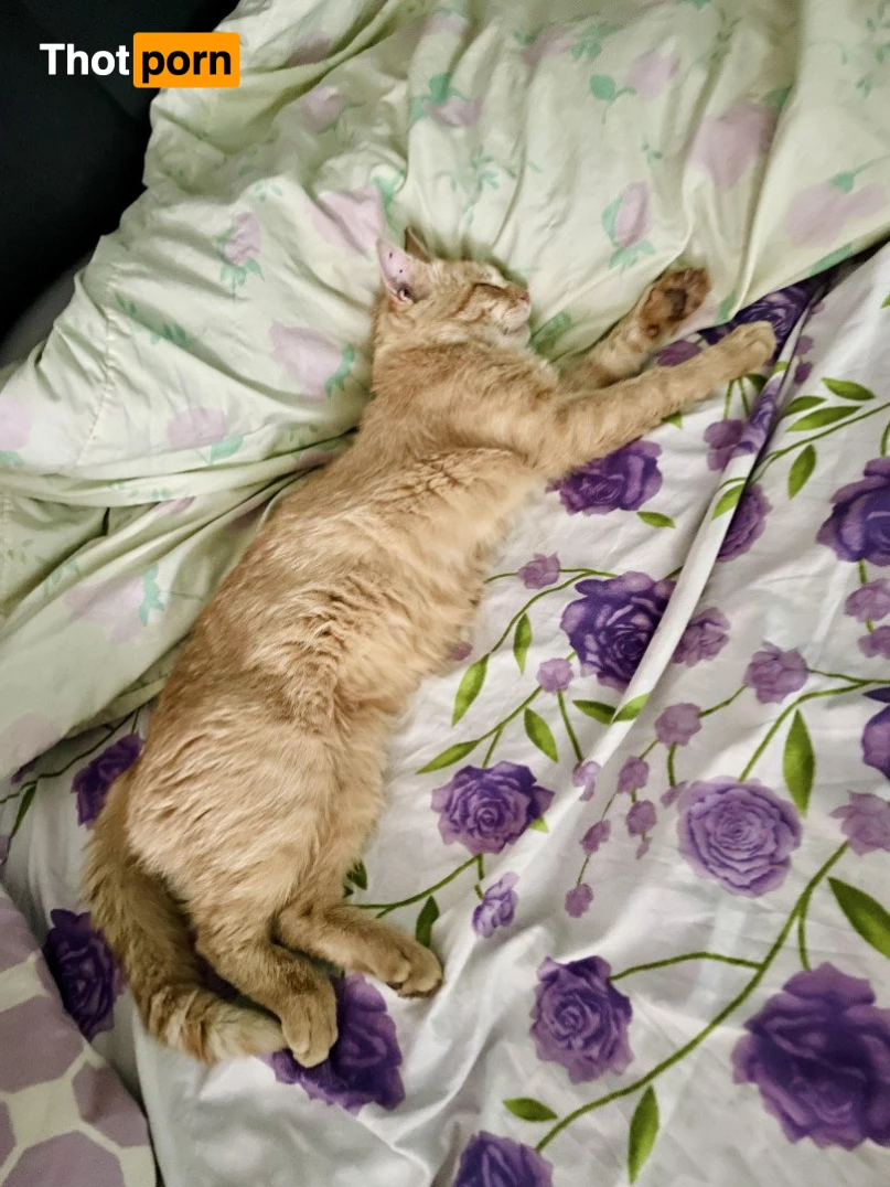 Suzanna Rose🌹Exclusive ✨ 1823739