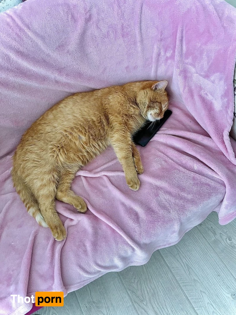 Suzanna Rose🌹Exclusive ✨ 1823769