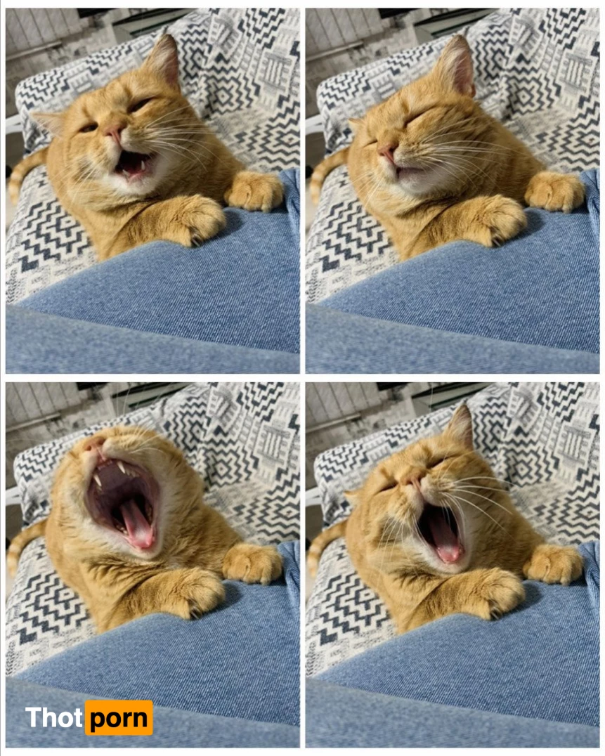 Suzanna Rose🌹Exclusive ✨ 1823794