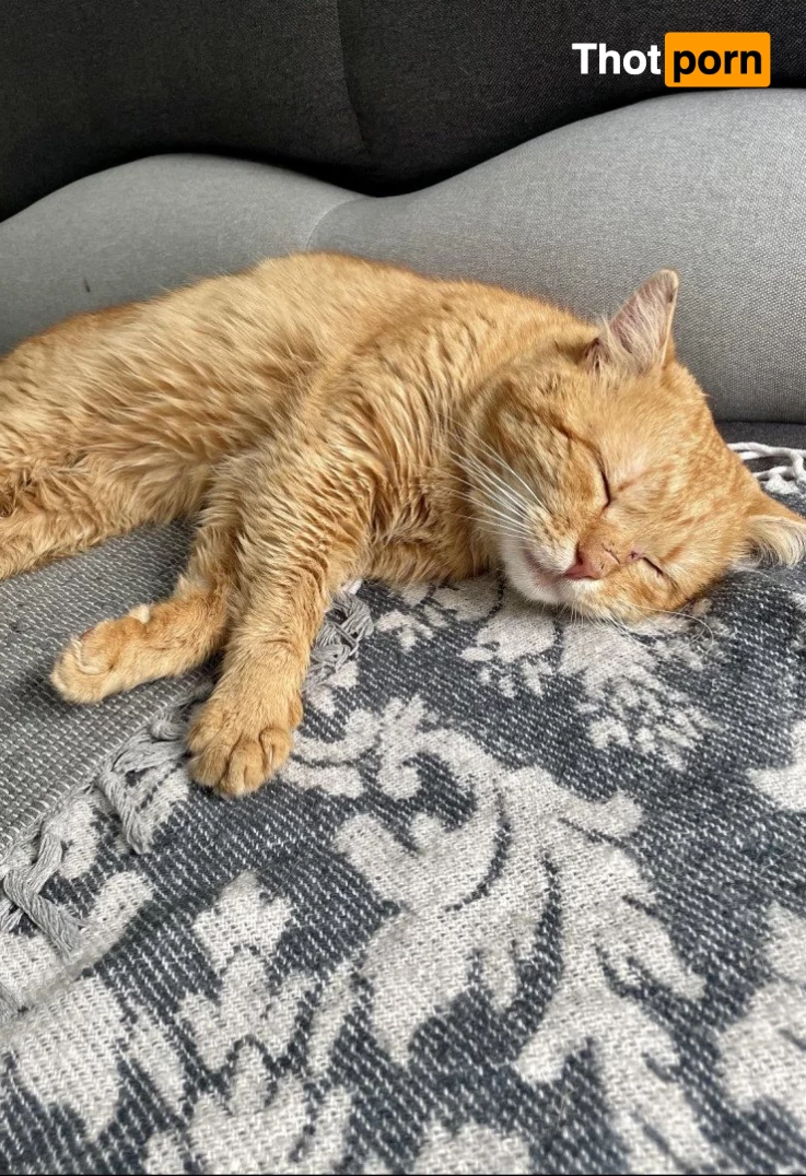 Suzanna Rose🌹Exclusive ✨ 1823815