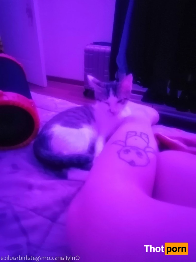 Gatita 💕 2070154
