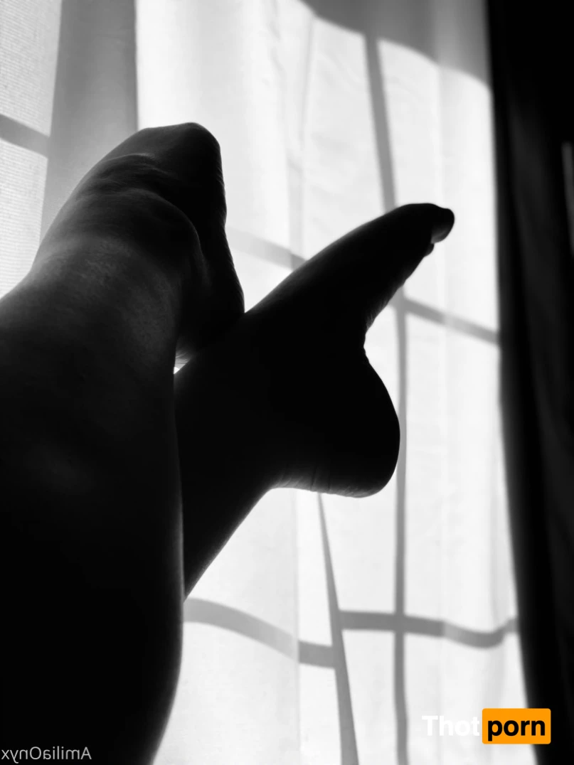 Amilia Onyx 13674530