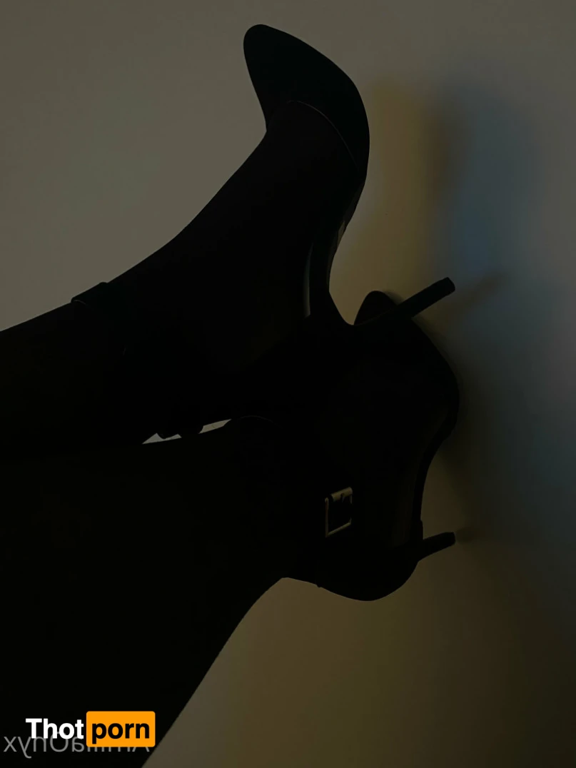 Amilia Onyx 13679022