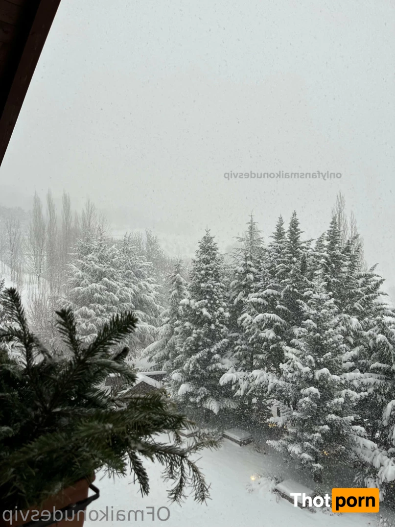 maikonudes ❦ 11687116