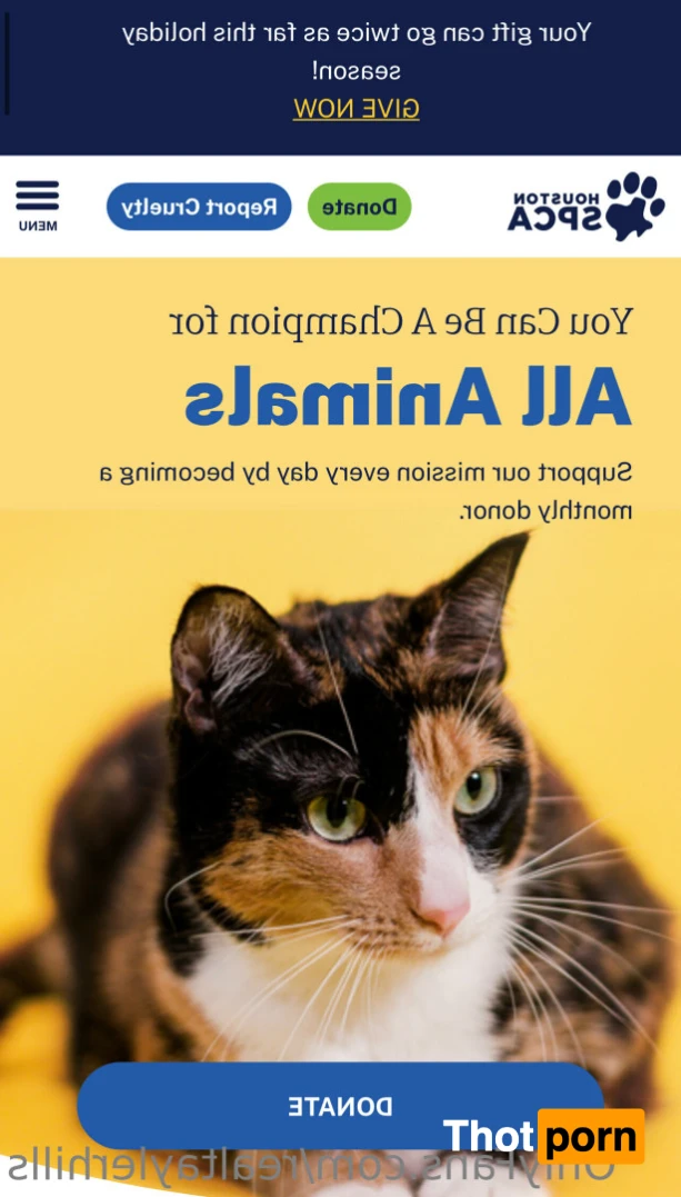 Tayler Hills 11831466