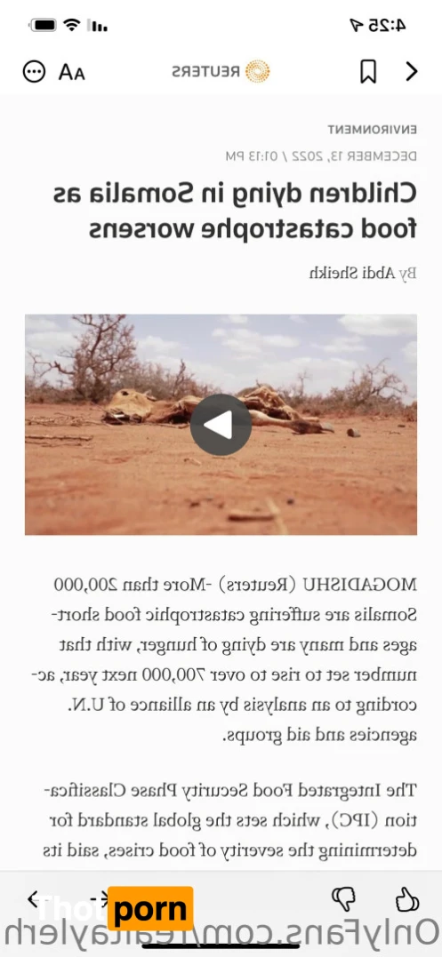 Tayler Hills 11832675