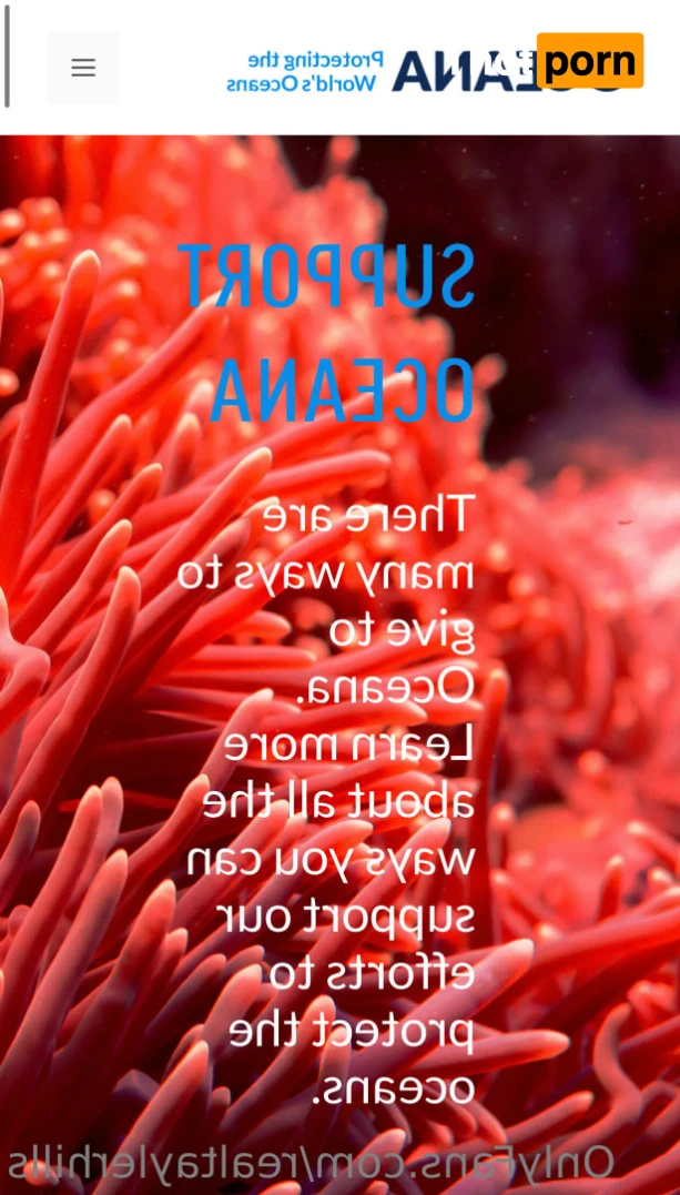 Tayler Hills 11836335