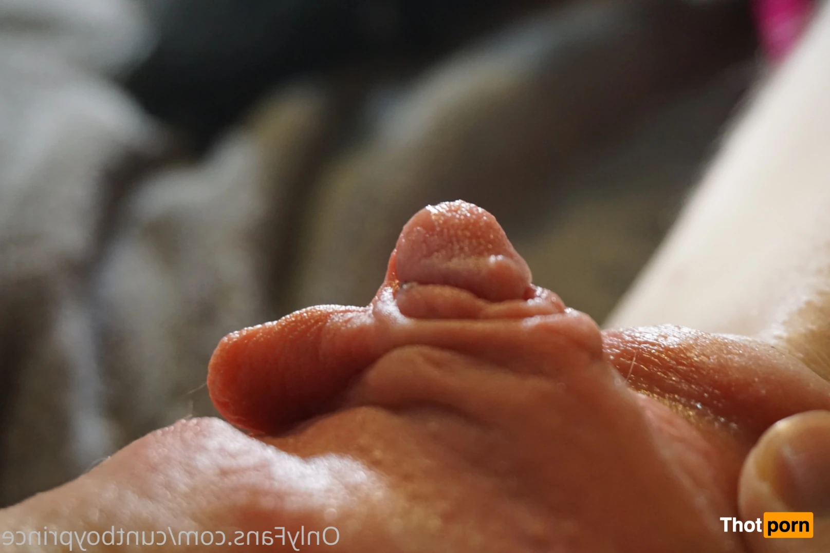 🍬Lil Virgin🍬 15118235