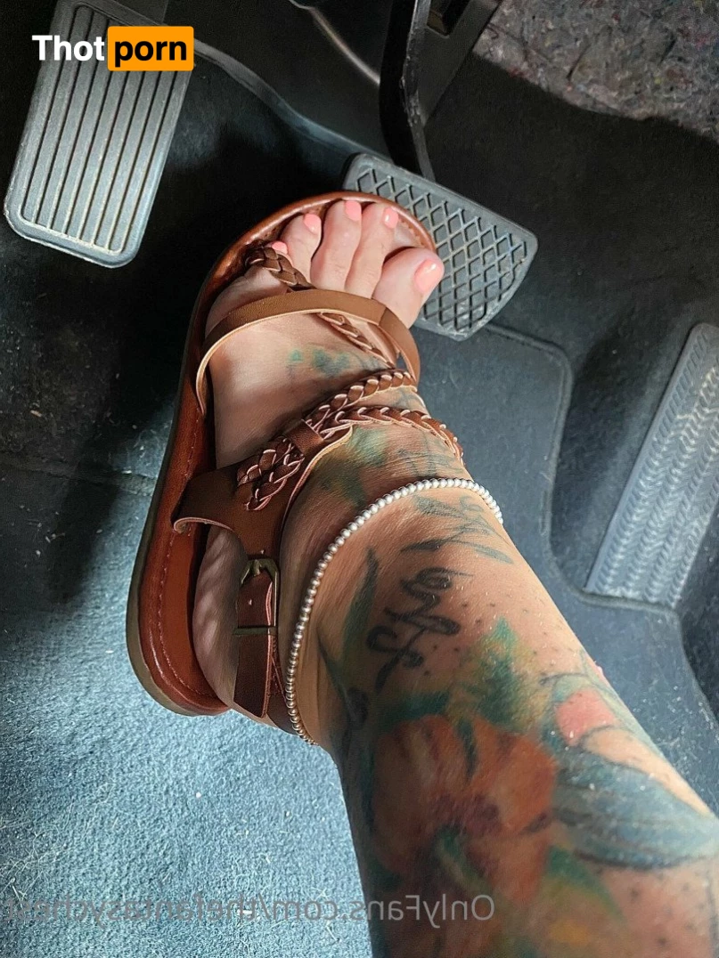 The Fantasy Chest 2422257