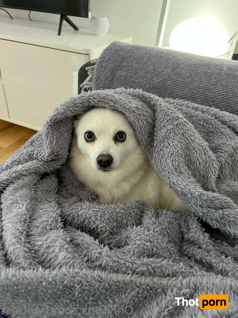 Adeline Frost 14738196