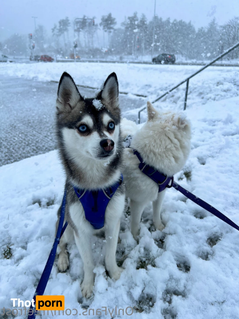 Adeline Frost 14890395