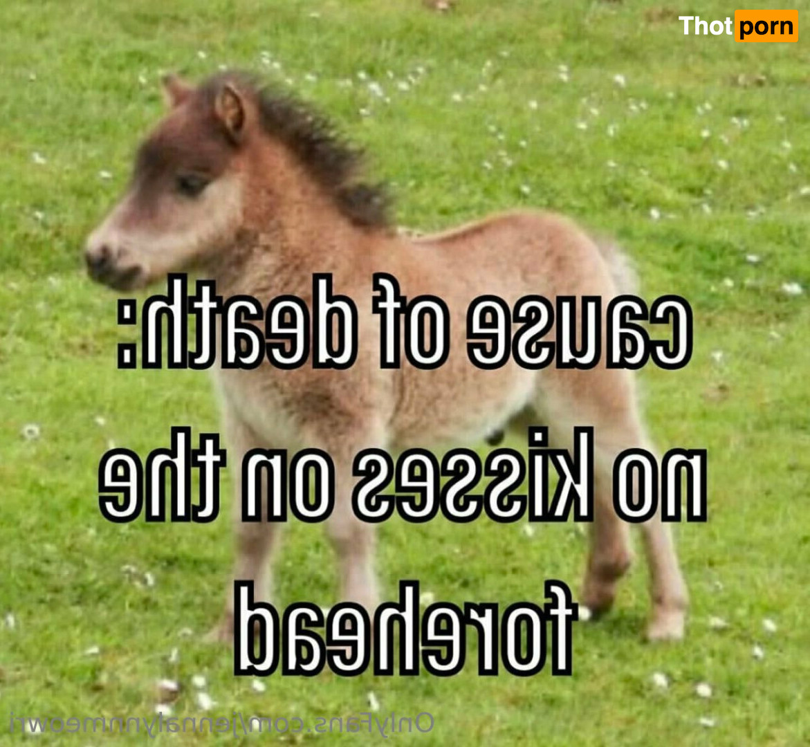 Jenna Lynn Meowri 16567257