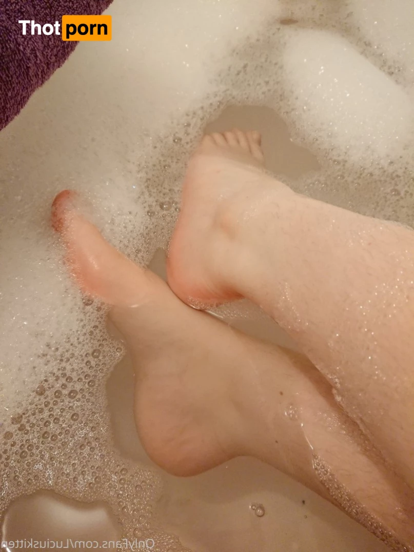 LuciusKitten 2423007