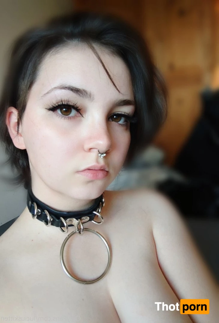 LuciusKitten 2423141