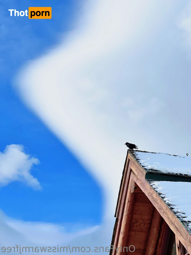 MissWarmJFree 14873203