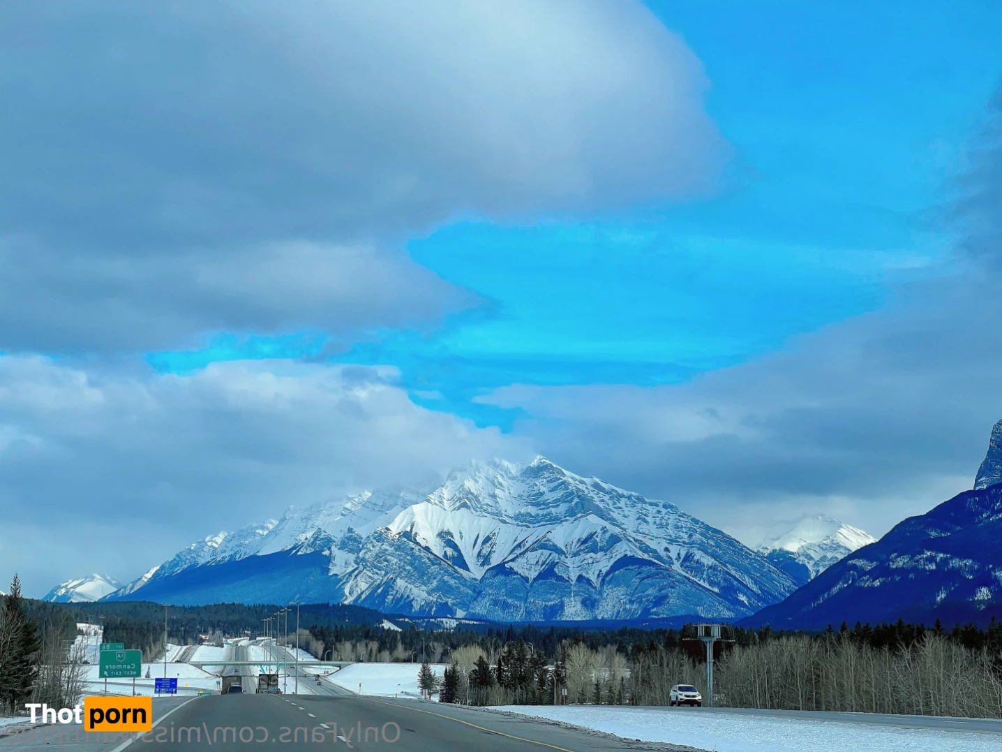 MissWarmJFree 14873524