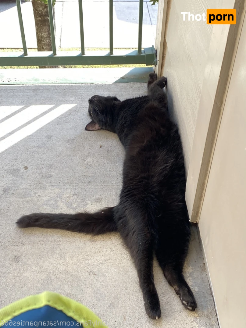 SatanPanties666 14863970