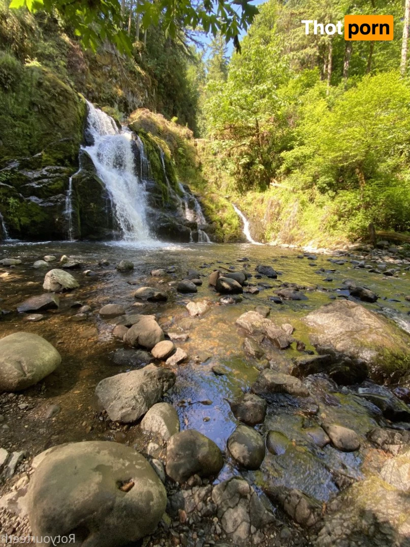 SugarSweetmeat 2392753