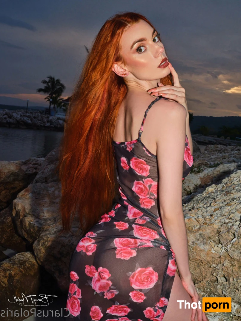 ClarusPolaris VIP 14741642