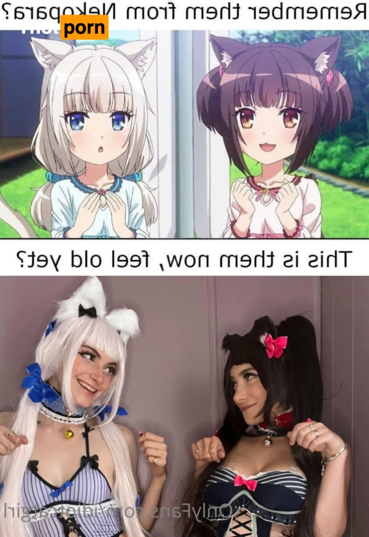 idiotcatgirl 6279189