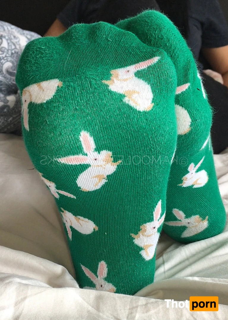 kamooletten  𝗙𝗥𝗘𝗘 6628079