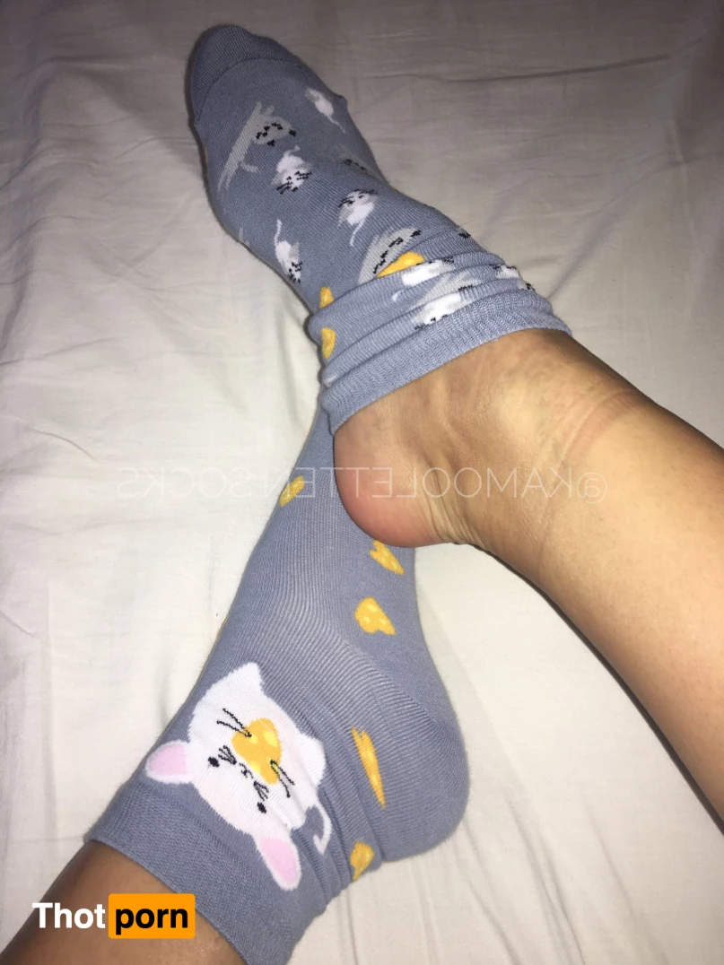 kamooletten  𝗙𝗥𝗘𝗘 6628133