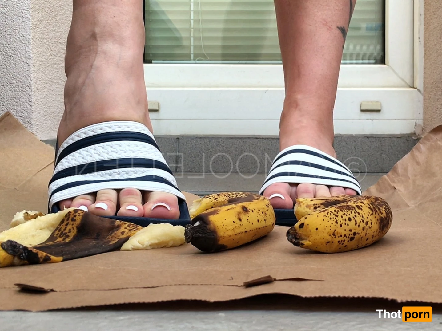 kamooletten  𝗙𝗥𝗘𝗘 6628204