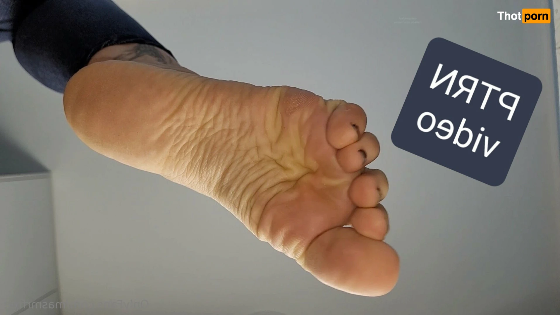 Queen Mary June (free page) 14607693