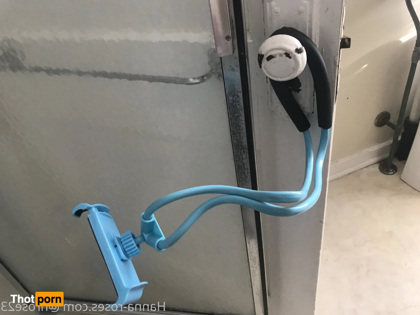 H_Roses23’s (FREE) 4380612