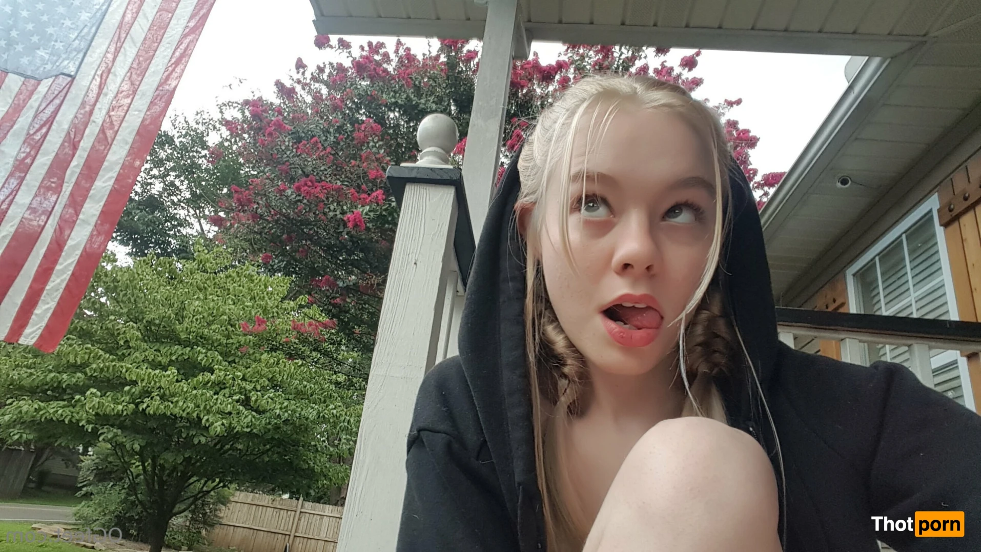 Sativa Skies 16524824