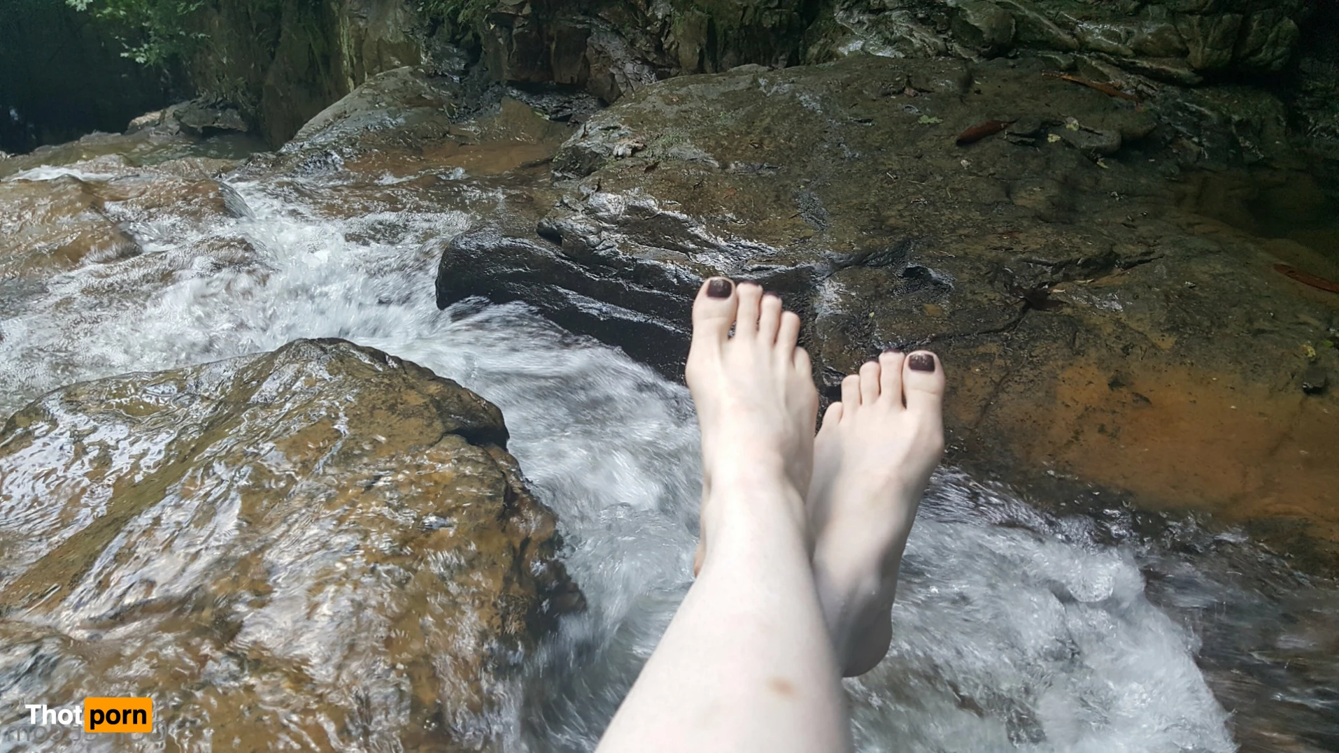 Sativa Skies 16527998