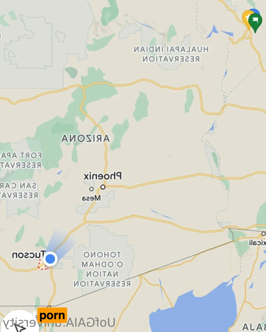 Professor GAIA 11933745