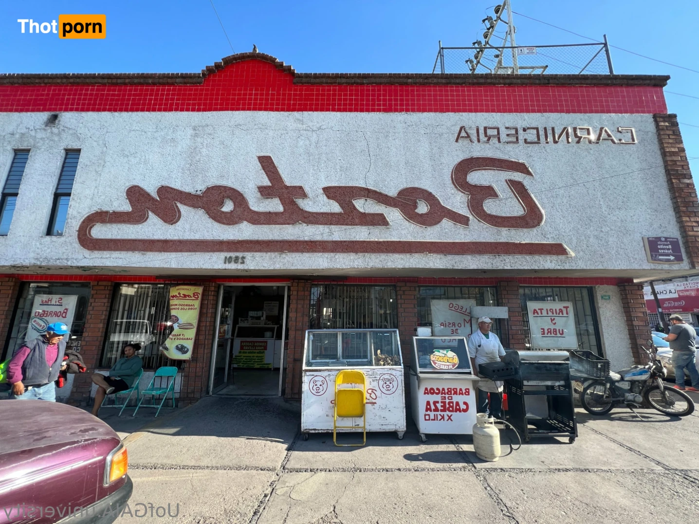 Professor GAIA 11940320