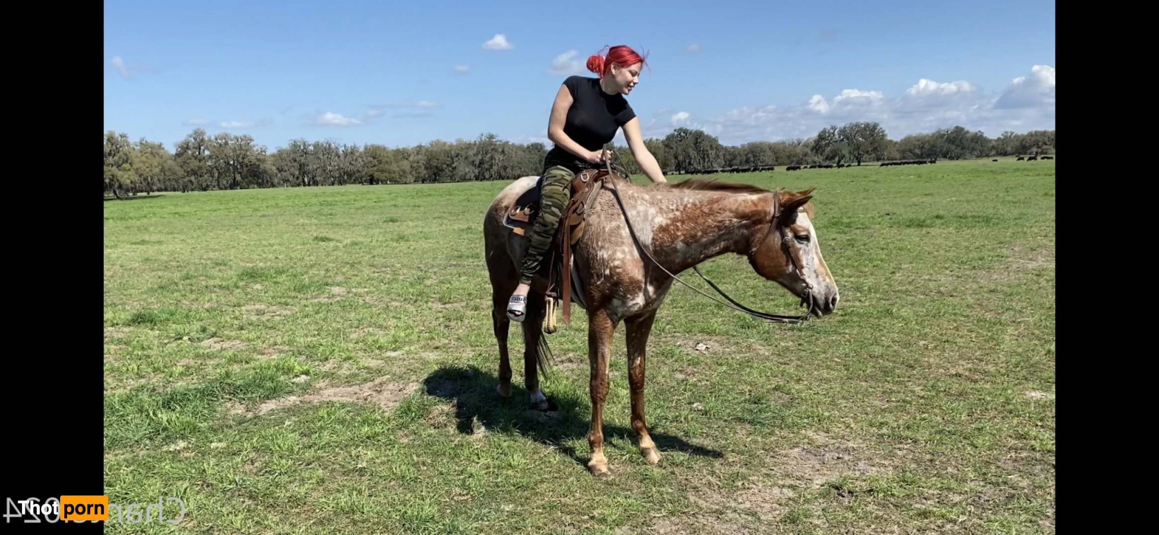 ♦️Chantel024.TV FREE♦️ 6120637