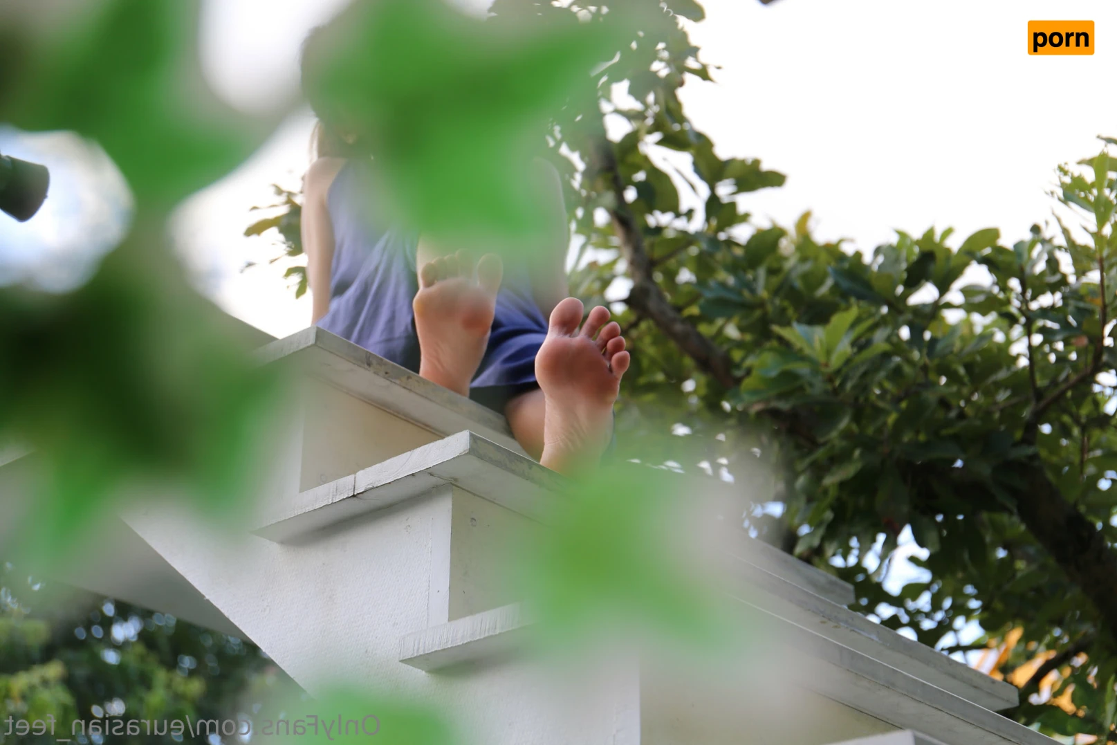 Eurasian Feet 14410525