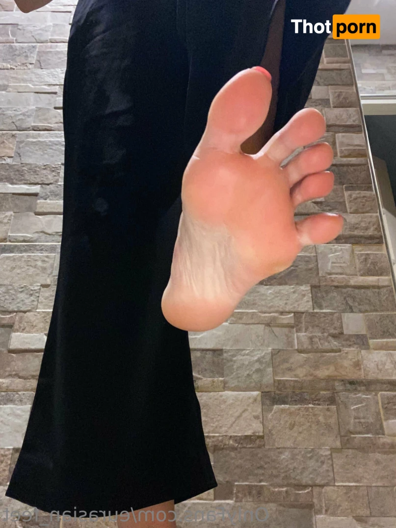 Eurasian Feet 14410861