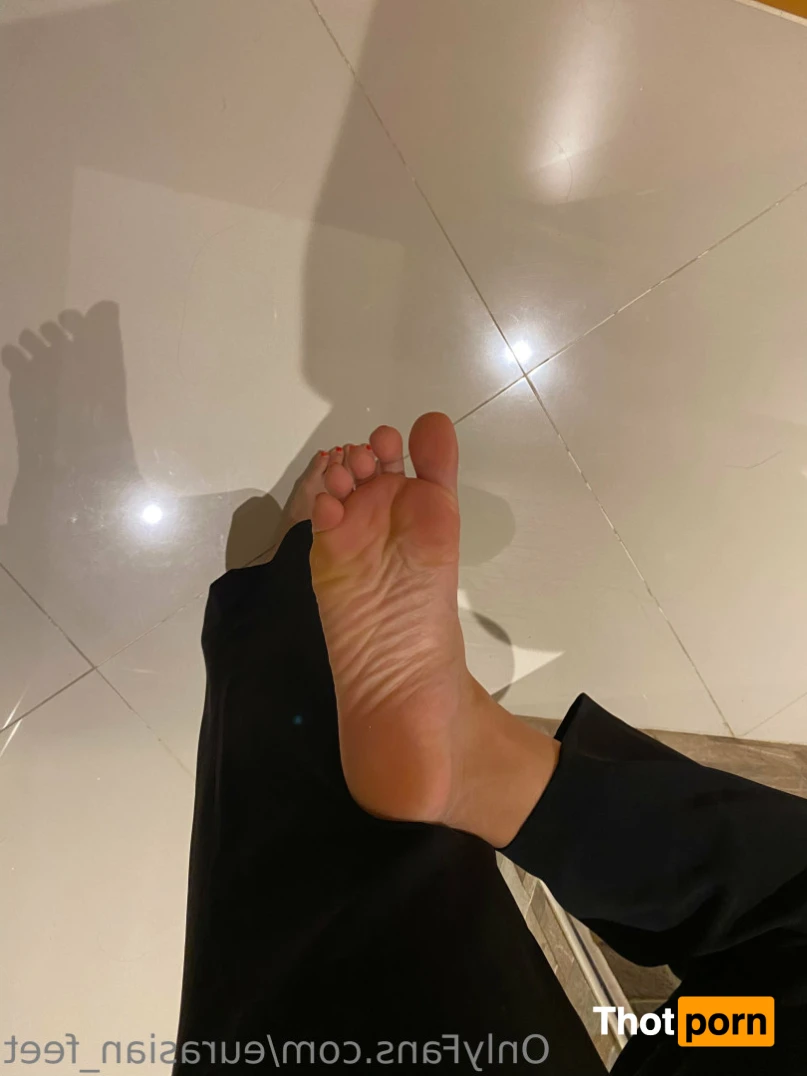 Eurasian Feet 14410993