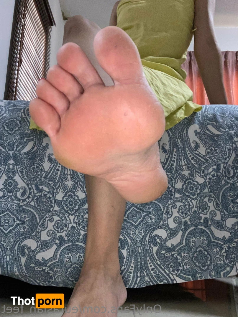 Eurasian Feet 14411286
