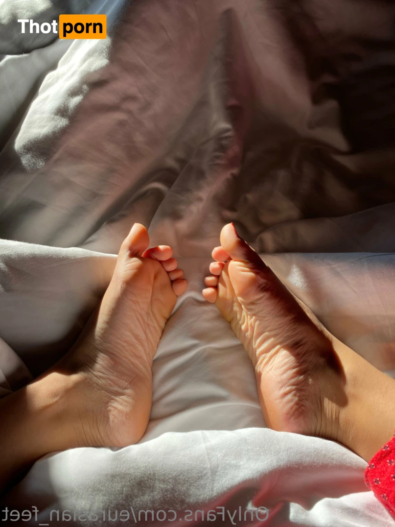 Eurasian Feet 14411649