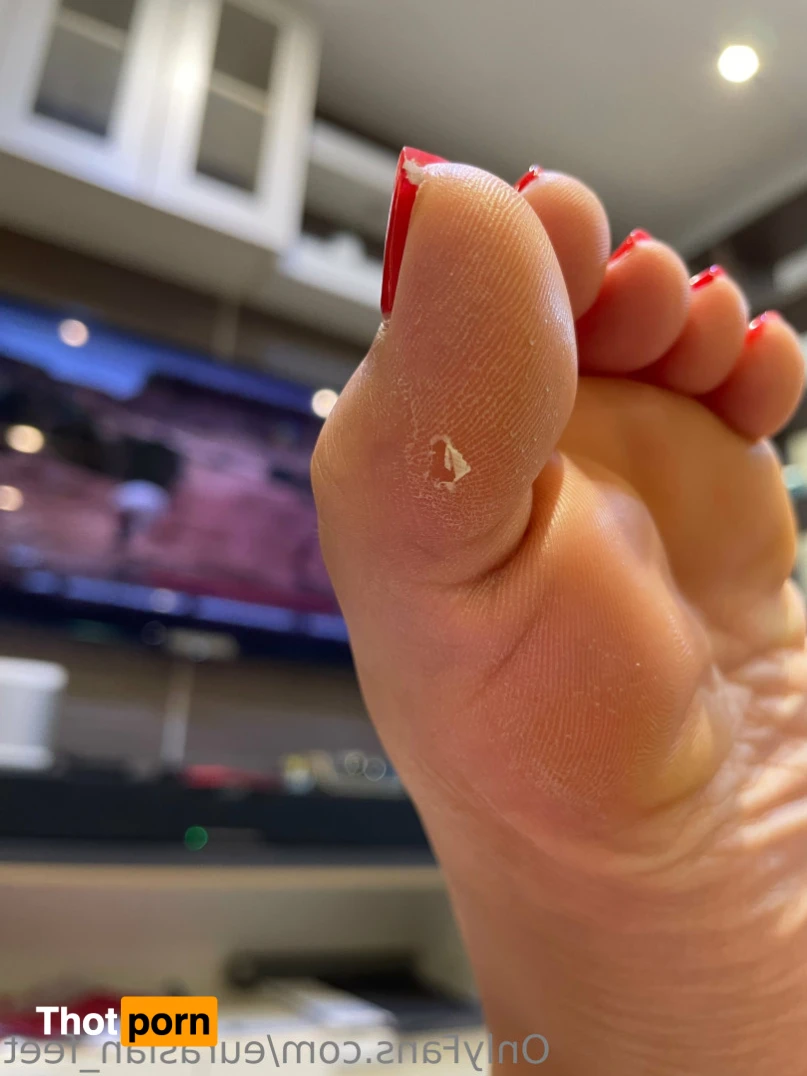 Eurasian Feet 14412258