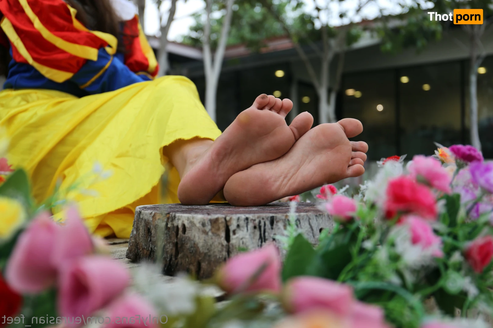 Eurasian Feet 14703000