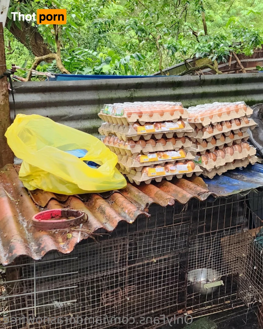 iamdorasnow free 14400883