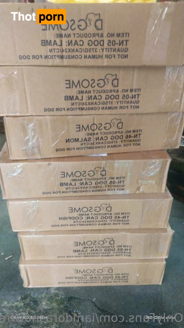 iamdorasnow free 14401185