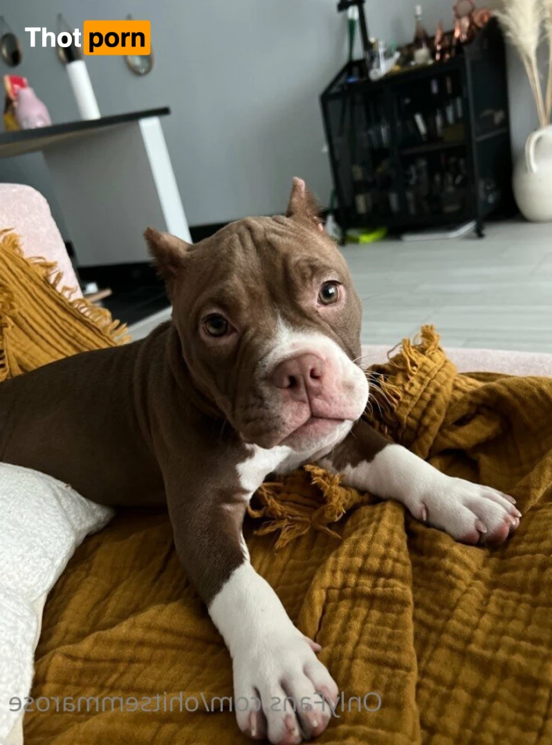 TS Emma Rose 🌹✨ 14278687