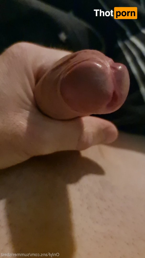 Summerisbest 3833704