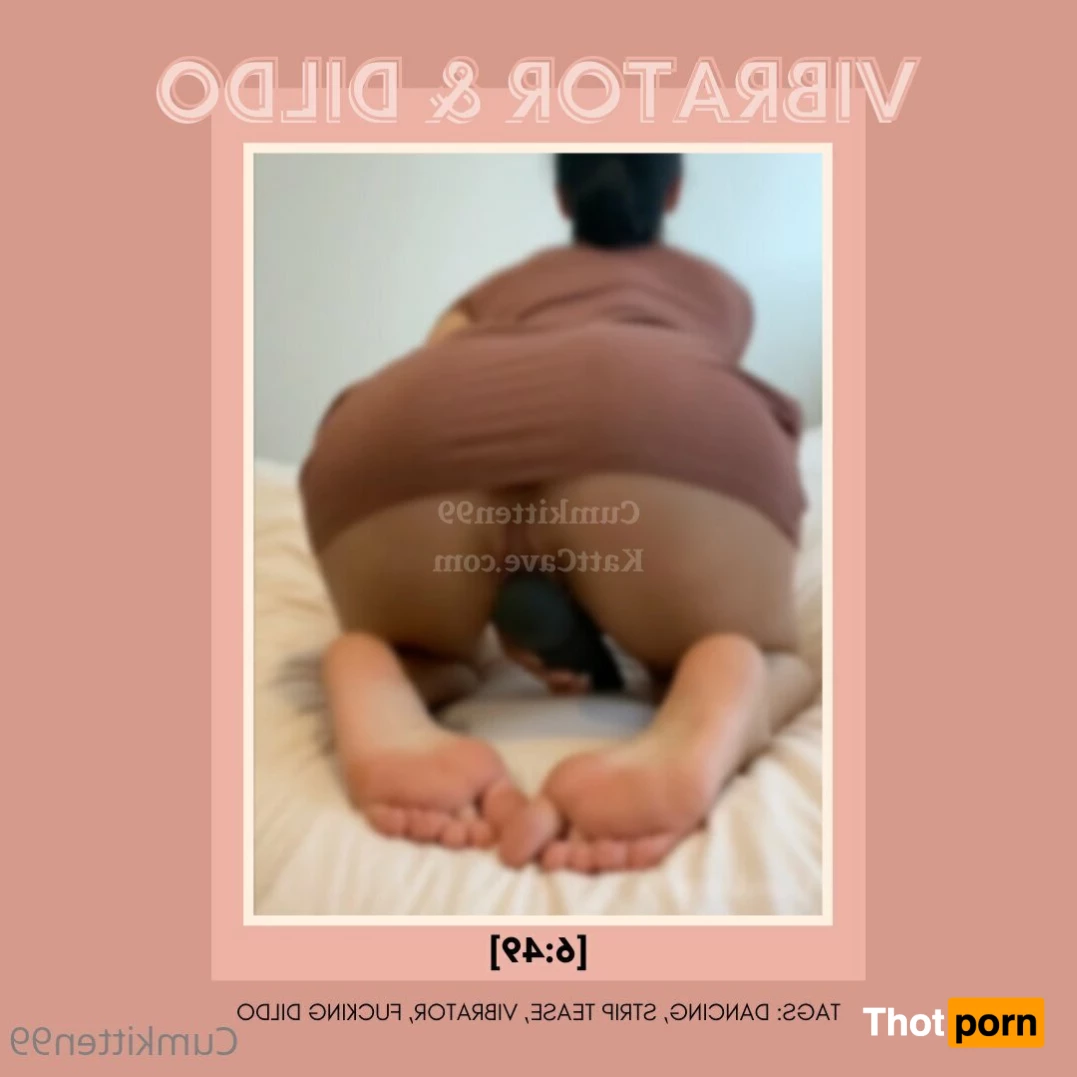 Katt’s Video Store 2328346