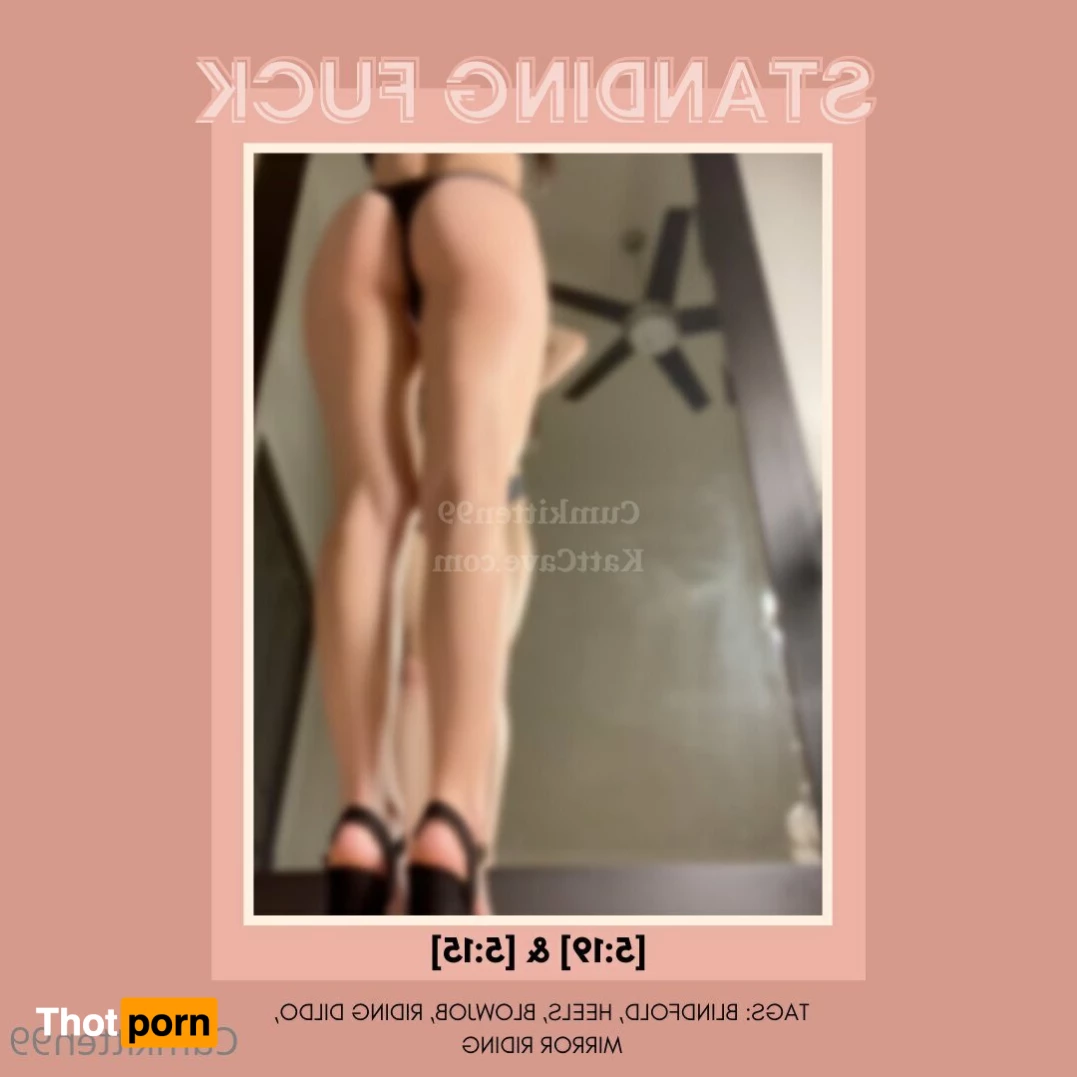 Katt’s Video Store 2328480