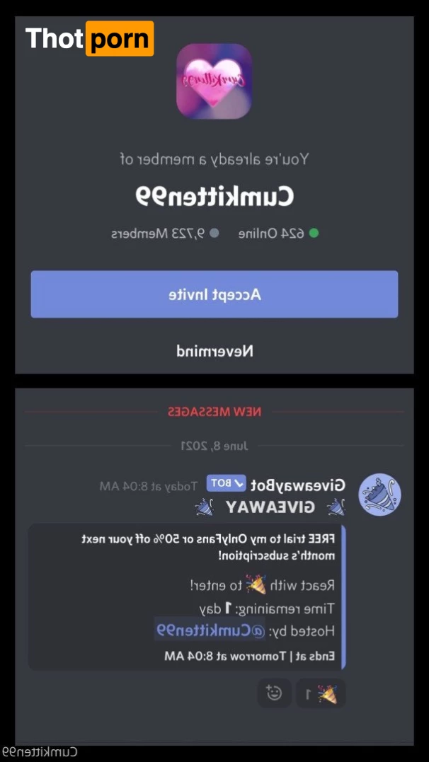 Katt’s Video Store 3762021